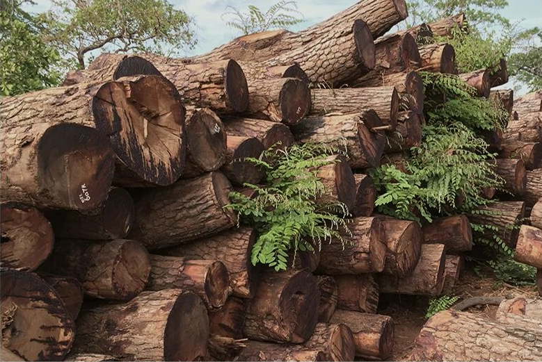 1769765871120680.png 3.png