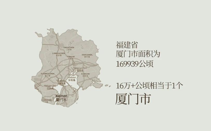 1769766031182591.png 980C1970-66DF-421a-98D9-EA6D8F257716.png