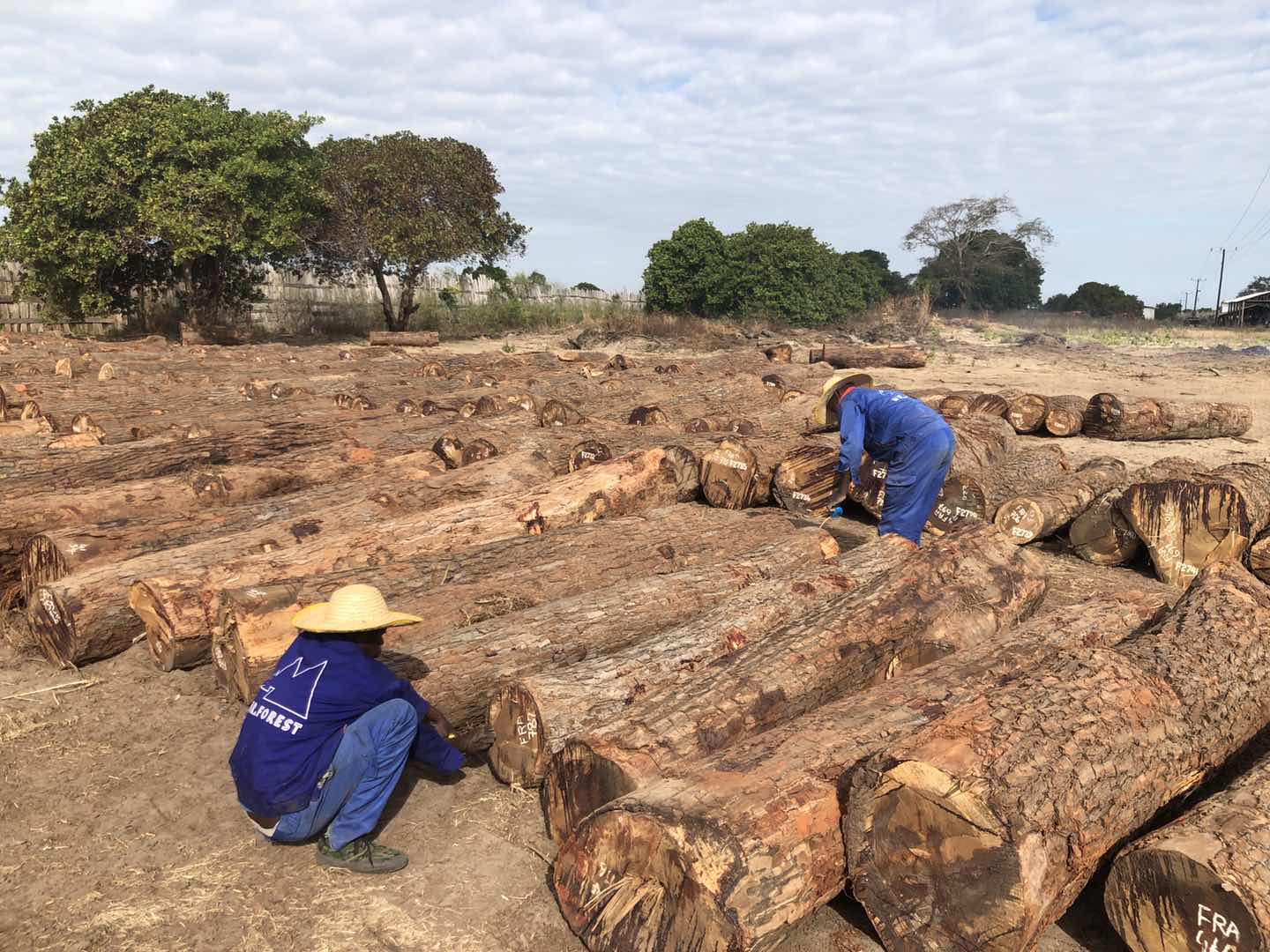 1769766055895607.jpg 7.jpg