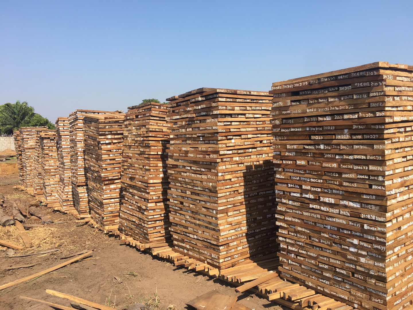 1769766165723799.jpg 11.jpg