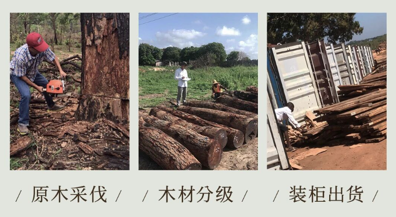 1769766219534279.png 12.png