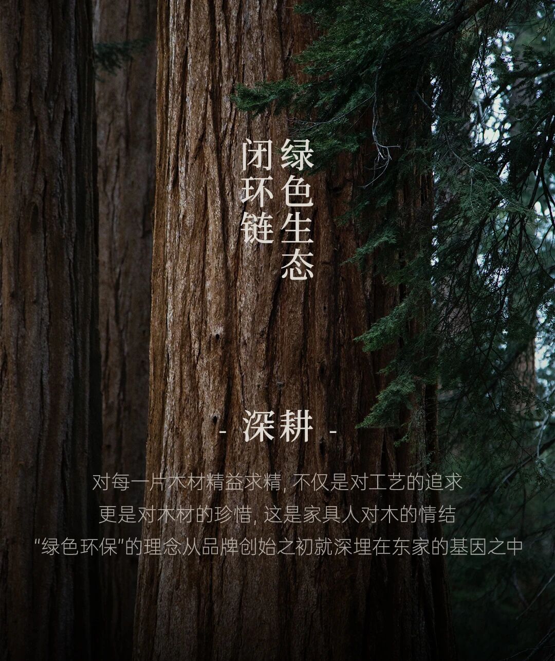 1769766242154344.jpg 微信图片_2026-01-30_173017_154.jpg