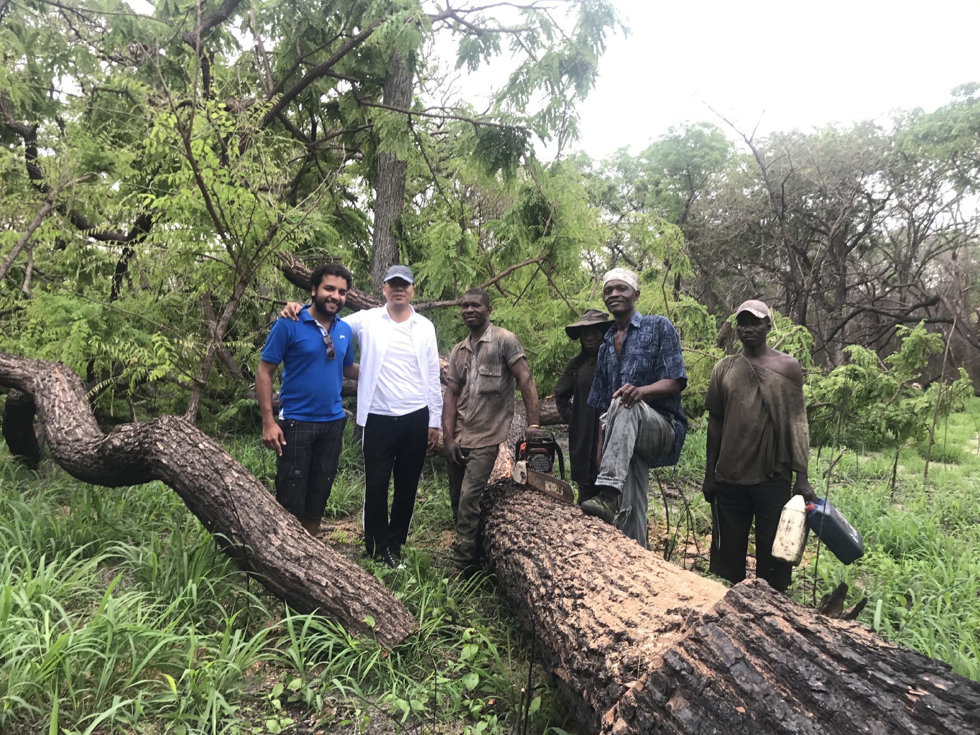 1769766283417816.jpg 13.jpg