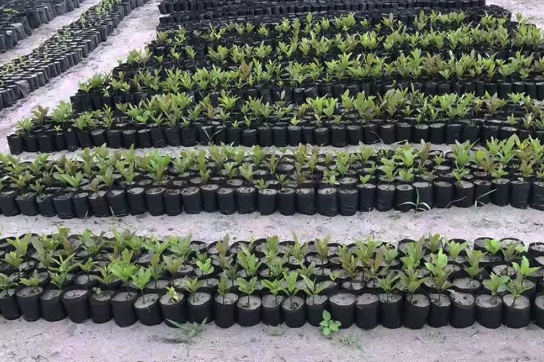 1769766308154952.png 14.png