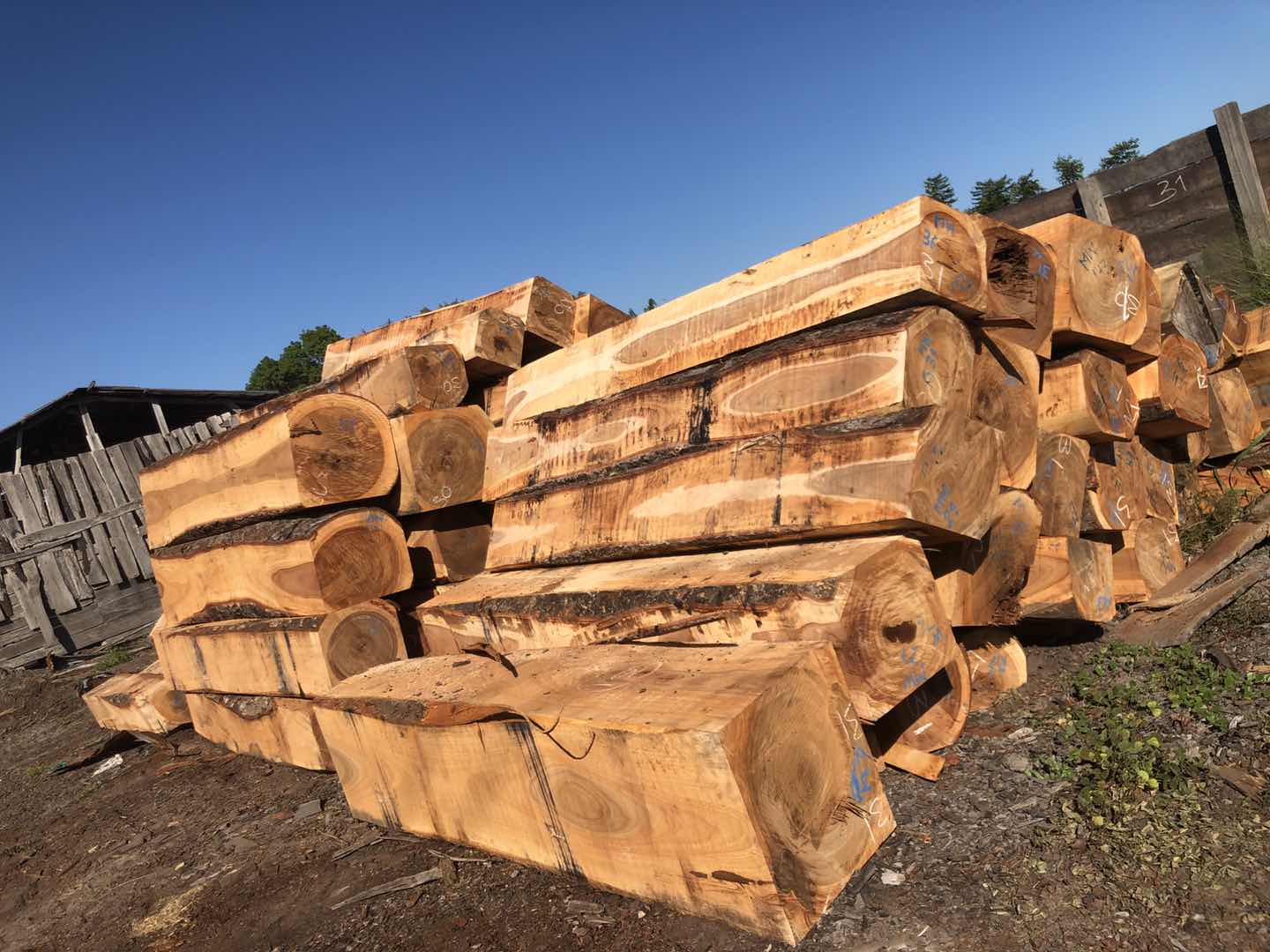 1769766329969403.jpg 15.jpg