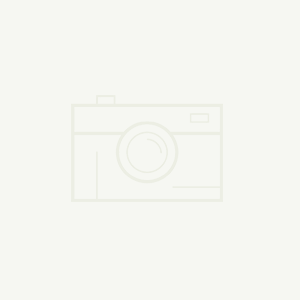 东家·设计案例|一个以宋式美学为精神内核的现代东方居所